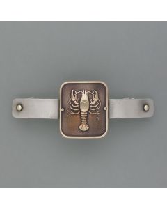 Cancer zodiac hair clip