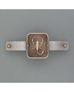 Scorpio zodiac hair clip
