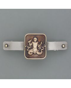 Aquarius zodiac hair clip