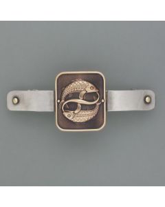 Pisces zodiac hair clip