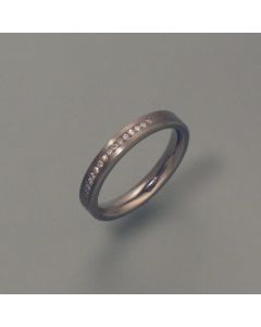 Titanium ring with 15 diamonds