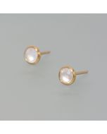 Delicate moonstone studs, gold plated