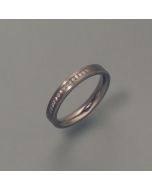 Titanium ring with 15 diamonds