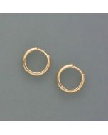 delicate gold hoop earrings, small