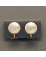 clip earrings flat Pearl, gold-plated
