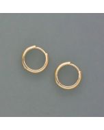 delicate gold hoop earrings, small
