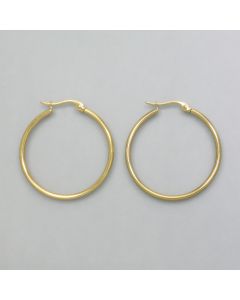 Small hoops gold look