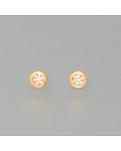 Studs stargold gold plated, small