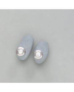 Earrings brilliant in stainless steel