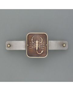 Scorpio zodiac hair clip