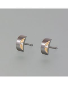 Studs Titanium with a brilliant, gold plated